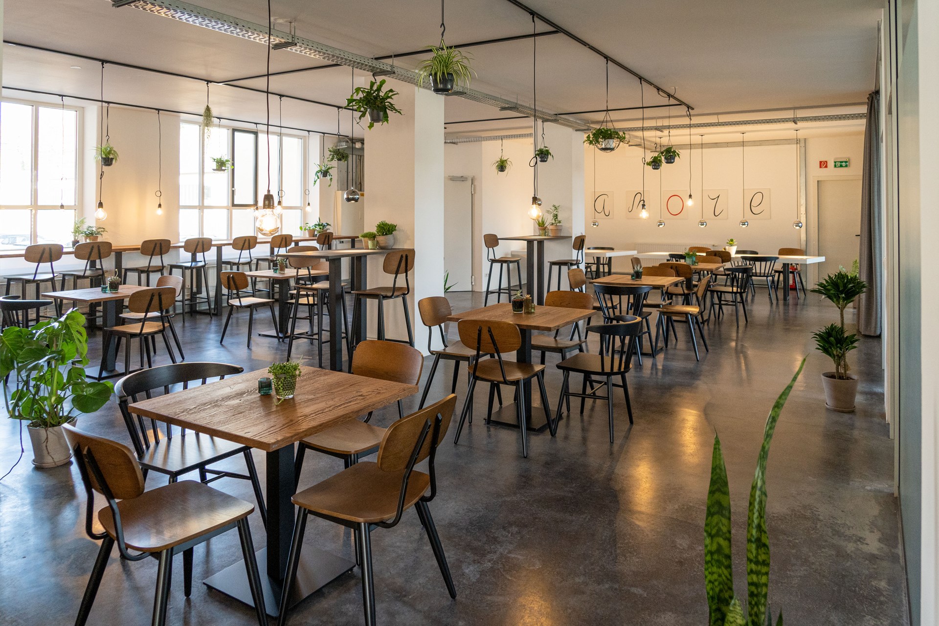 Heller Raum mit Pflanzen